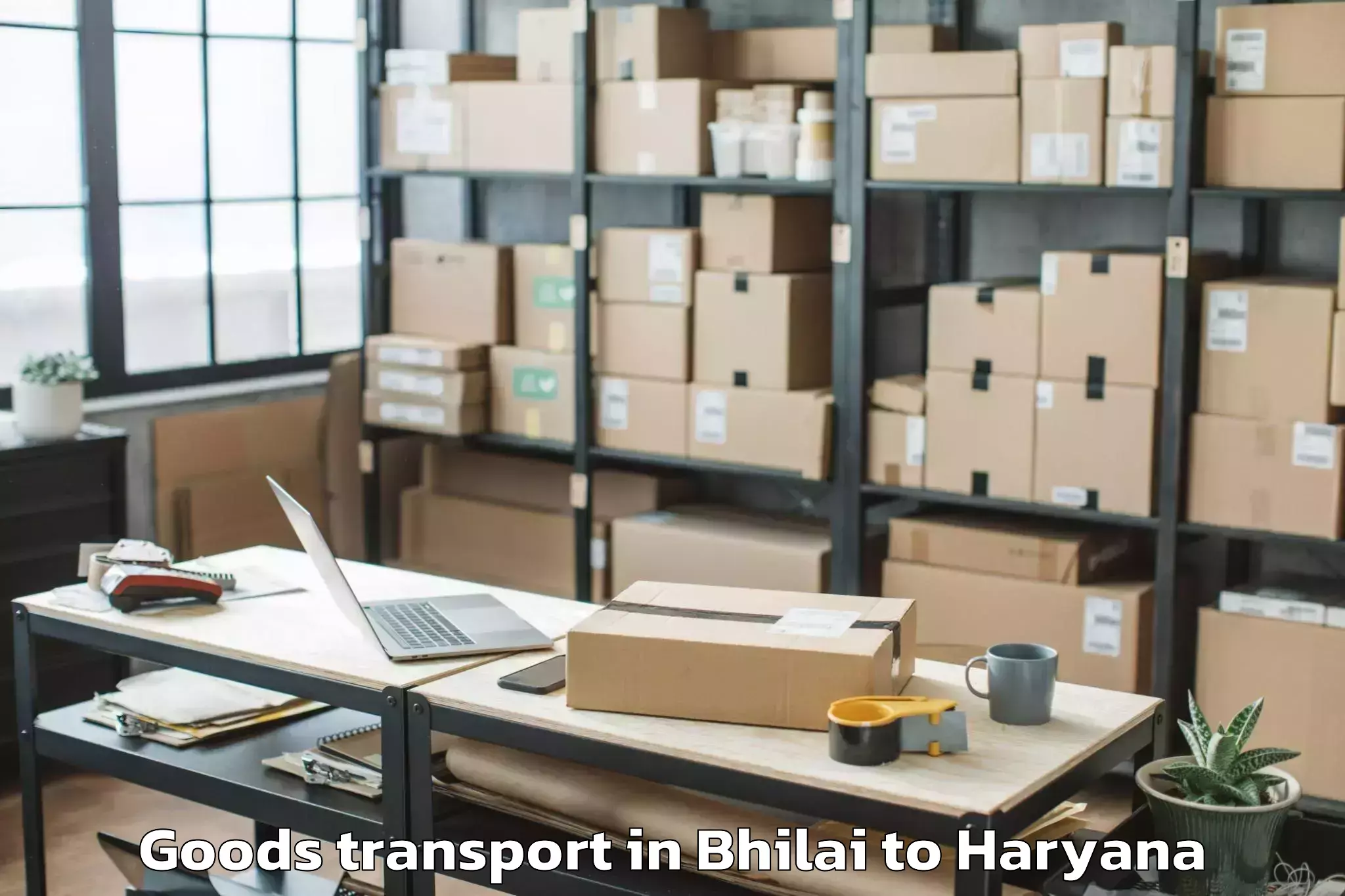 Leading Bhilai to Gurgaon Central Mall Goods Transport Provider